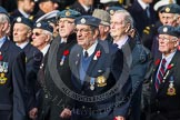 Remembrance Sunday at the Cenotaph in London 2014: Group C5 - National Service (Royal Air Force) Association.
Press stand opposite the Foreign Office building, Whitehall, London SW1,
London,
Greater London,
United Kingdom,
on 09 November 2014 at 11:39, image #104