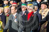 Remembrance Sunday at the Cenotaph in London 2014: Group C19 - Royal Air Forces Ex-Prisoner's of War Association.
Press stand opposite the Foreign Office building, Whitehall, London SW1,
London,
Greater London,
United Kingdom,
on 09 November 2014 at 11:40, image #165