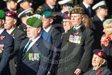 Remembrance Sunday at the Cenotaph in London 2014: Group D4 - Foreign Legion Association.
Press stand opposite the Foreign Office building, Whitehall, London SW1,
London,
Greater London,
United Kingdom,
on 09 November 2014 at 11:43, image #288