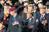 Remembrance Sunday at the Cenotaph in London 2014: Group D4 - Foreign Legion Association.
Press stand opposite the Foreign Office building, Whitehall, London SW1,
London,
Greater London,
United Kingdom,
on 09 November 2014 at 11:43, image #290