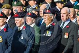 Remembrance Sunday at the Cenotaph in London 2014: Group D12 - North Irish Horse & Irish Regiments Old Comrades
Association.
Press stand opposite the Foreign Office building, Whitehall, London SW1,
London,
Greater London,
United Kingdom,
on 09 November 2014 at 11:44, image #356