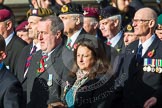 Remembrance Sunday at the Cenotaph in London 2014: Group D19 - South Atlantic Medal Association.
Press stand opposite the Foreign Office building, Whitehall, London SW1,
London,
Greater London,
United Kingdom,
on 09 November 2014 at 11:46, image #397