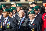 Remembrance Sunday at the Cenotaph in London 2014: Group E1 - Royal Marines Association.
Press stand opposite the Foreign Office building, Whitehall, London SW1,
London,
Greater London,
United Kingdom,
on 09 November 2014 at 11:49, image #541