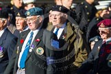 Remembrance Sunday at the Cenotaph in London 2014: Group F17 - Suez Veterans Association.
Press stand opposite the Foreign Office building, Whitehall, London SW1,
London,
Greater London,
United Kingdom,
on 09 November 2014 at 11:58, image #1061