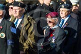 Remembrance Sunday at the Cenotaph in London 2014: Group F17 - Suez Veterans Association.
Press stand opposite the Foreign Office building, Whitehall, London SW1,
London,
Greater London,
United Kingdom,
on 09 November 2014 at 11:58, image #1062