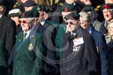 Remembrance Sunday at the Cenotaph in London 2014: Group A6 - King's Royal Rifle Corps Association.
Press stand opposite the Foreign Office building, Whitehall, London SW1,
London,
Greater London,
United Kingdom,
on 09 November 2014 at 12:00, image #1144