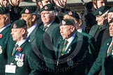 Remembrance Sunday at the Cenotaph in London 2014: Group A9 - Royal Green Jackets Association.
Press stand opposite the Foreign Office building, Whitehall, London SW1,
London,
Greater London,
United Kingdom,
on 09 November 2014 at 12:01, image #1171