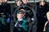 Remembrance Sunday at the Cenotaph in London 2014: Group A9 - Royal Green Jackets Association.
Press stand opposite the Foreign Office building, Whitehall, London SW1,
London,
Greater London,
United Kingdom,
on 09 November 2014 at 12:01, image #1209