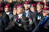 Remembrance Sunday at the Cenotaph in London 2014: Group A10 - Parachute Regimental Association.
Press stand opposite the Foreign Office building, Whitehall, London SW1,
London,
Greater London,
United Kingdom,
on 09 November 2014 at 12:02, image #1235