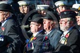 Remembrance Sunday at the Cenotaph in London 2014: Group A22 - Princess of Wales's Royal Regiment.
Press stand opposite the Foreign Office building, Whitehall, London SW1,
London,
Greater London,
United Kingdom,
on 09 November 2014 at 12:04, image #1348