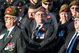 Remembrance Sunday at the Cenotaph in London 2014: Group A34 - The Duke of Lancaster's Regimental Association.
Press stand opposite the Foreign Office building, Whitehall, London SW1,
London,
Greater London,
United Kingdom,
on 09 November 2014 at 12:05, image #1431
