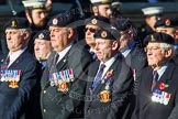 Remembrance Sunday at the Cenotaph in London 2014: Group B9 - Royal Engineers Bomb Disposal Association.
Press stand opposite the Foreign Office building, Whitehall, London SW1,
London,
Greater London,
United Kingdom,
on 09 November 2014 at 12:08, image #1577