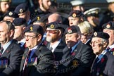 Remembrance Sunday at the Cenotaph in London 2014: Group B9 - Royal Engineers Bomb Disposal Association.
Press stand opposite the Foreign Office building, Whitehall, London SW1,
London,
Greater London,
United Kingdom,
on 09 November 2014 at 12:08, image #1581