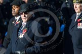 Remembrance Sunday at the Cenotaph in London 2014: Group B16 - Royal Pioneer Corps Association.
Press stand opposite the Foreign Office building, Whitehall, London SW1,
London,
Greater London,
United Kingdom,
on 09 November 2014 at 12:09, image #1674
