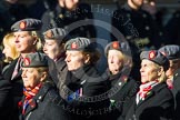Remembrance Sunday at the Cenotaph in London 2014: Group B25 - Queen Alexandra's Royal Army Nursing Corps Association.
Press stand opposite the Foreign Office building, Whitehall, London SW1,
London,
Greater London,
United Kingdom,
on 09 November 2014 at 12:11, image #1793
