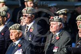 Remembrance Sunday at the Cenotaph in London 2014: Group B26 - Royal Scots Dragoon Guards.
Press stand opposite the Foreign Office building, Whitehall, London SW1,
London,
Greater London,
United Kingdom,
on 09 November 2014 at 12:12, image #1807