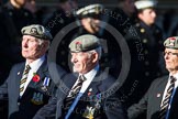 Remembrance Sunday at the Cenotaph in London 2014: Group B26 - Royal Scots Dragoon Guards.
Press stand opposite the Foreign Office building, Whitehall, London SW1,
London,
Greater London,
United Kingdom,
on 09 November 2014 at 12:12, image #1810