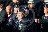 Remembrance Sunday at the Cenotaph in London 2014: Group B28 - Queen's Royal Hussars (The Queen's Own & Royal Irish).
Press stand opposite the Foreign Office building, Whitehall, London SW1,
London,
Greater London,
United Kingdom,
on 09 November 2014 at 12:12, image #1825