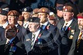 Remembrance Sunday at the Cenotaph in London 2014: Group B29 - Queen's Royal Hussars (The Queen's Own & Royal Irish).
Press stand opposite the Foreign Office building, Whitehall, London SW1,
London,
Greater London,
United Kingdom,
on 09 November 2014 at 12:12, image #1847