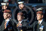 Remembrance Sunday at the Cenotaph in London 2014: Group B29 - Queen's Royal Hussars (The Queen's Own & Royal Irish).
Press stand opposite the Foreign Office building, Whitehall, London SW1,
London,
Greater London,
United Kingdom,
on 09 November 2014 at 12:12, image #1859