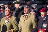 Remembrance Sunday at the Cenotaph in London 2014: Group B30 - 16/5th Queen's Royal Lancers.
Press stand opposite the Foreign Office building, Whitehall, London SW1,
London,
Greater London,
United Kingdom,
on 09 November 2014 at 12:13, image #1881