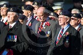 Remembrance Sunday at the Cenotaph in London 2014: Group B30 - 16/5th Queen's Royal Lancers.
Press stand opposite the Foreign Office building, Whitehall, London SW1,
London,
Greater London,
United Kingdom,
on 09 November 2014 at 12:13, image #1889