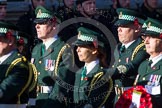 Remembrance Sunday at the Cenotaph in London 2014: Group M13 - London Ambulance Service NHS Trust.
Press stand opposite the Foreign Office building, Whitehall, London SW1,
London,
Greater London,
United Kingdom,
on 09 November 2014 at 12:16, image #2073