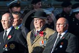 Remembrance Sunday at the Cenotaph in London 2014: Group M18 - The Firefighters Memorial Trust.
Press stand opposite the Foreign Office building, Whitehall, London SW1,
London,
Greater London,
United Kingdom,
on 09 November 2014 at 12:17, image #2108