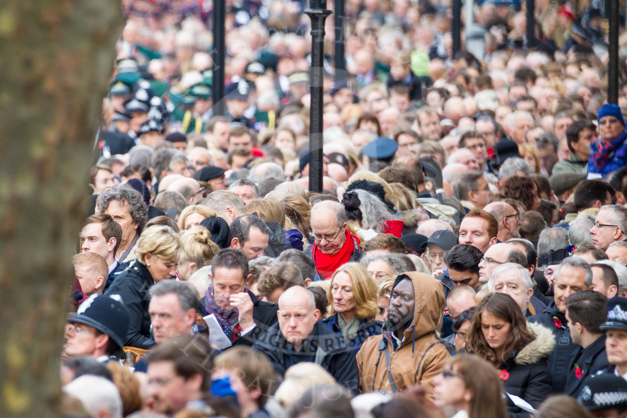 Photo 1411091118351D44627HaraldJoergens Remembrance Sunday at the Cenotaph in London 2014: Spectators on Whitehall singing during the service.
Press stand opposite the Foreign Office building, Whitehall, London SW1,
London,
Greater London,
United Kingdom,
on 09 November 2014 at 11:18, image #286