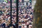 Remembrance Sunday at the Cenotaph 2015: Over 10.000 Veterans waiting for the begin of the March Past, in front the TFL group.
Cenotaph, Whitehall, London SW1,
London,
Greater London,
United Kingdom,
on 08 November 2015 at 11:26, image #9