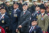 Remembrance Sunday at the Cenotaph 2015: Group B10, Royal Army Service Corps & Royal Corps of Transport Association, and B11, B11 RAOC Association.
Cenotaph, Whitehall, London SW1,
London,
Greater London,
United Kingdom,
on 08 November 2015 at 11:38, image #89