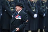 Remembrance Sunday at the Cenotaph 2015: Group B13, Royal Pioneer Corps Association (Anniversary).
Cenotaph, Whitehall, London SW1,
London,
Greater London,
United Kingdom,
on 08 November 2015 at 11:38, image #103