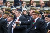 Remembrance Sunday at the Cenotaph 2015: Group B13, Royal Pioneer Corps Association (Anniversary).
Cenotaph, Whitehall, London SW1,
London,
Greater London,
United Kingdom,
on 08 November 2015 at 11:39, image #106