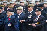 Remembrance Sunday at the Cenotaph 2015: Group B13, Royal Pioneer Corps Association (Anniversary).
Cenotaph, Whitehall, London SW1,
London,
Greater London,
United Kingdom,
on 08 November 2015 at 11:39, image #112