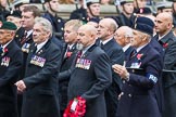 Remembrance Sunday at the Cenotaph 2015: Group B15, Royal Electrical & Mechanical Engineers Association.
Cenotaph, Whitehall, London SW1,
London,
Greater London,
United Kingdom,
on 08 November 2015 at 11:39, image #123