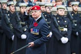 Remembrance Sunday at the Cenotaph 2015: Group B16, Royal Military Police Association.
Cenotaph, Whitehall, London SW1,
London,
Greater London,
United Kingdom,
on 08 November 2015 at 11:39, image #128