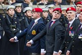 Remembrance Sunday at the Cenotaph 2015: Group B16, Royal Military Police Association.
Cenotaph, Whitehall, London SW1,
London,
Greater London,
United Kingdom,
on 08 November 2015 at 11:40, image #131