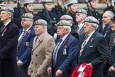 Remembrance Sunday at the Cenotaph 2015: Group B22, Royal Scots Dragoon Guards.
Cenotaph, Whitehall, London SW1,
London,
Greater London,
United Kingdom,
on 08 November 2015 at 11:40, image #170