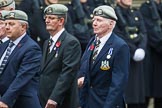 Remembrance Sunday at the Cenotaph 2015: Group B22, Royal Scots Dragoon Guards.
Cenotaph, Whitehall, London SW1,
London,
Greater London,
United Kingdom,
on 08 November 2015 at 11:40, image #173