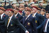 Remembrance Sunday at the Cenotaph 2015: Group B25, Kings Royal Hussars Regimental Association.
Cenotaph, Whitehall, London SW1,
London,
Greater London,
United Kingdom,
on 08 November 2015 at 11:41, image #200