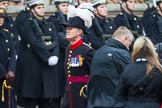 Remembrance Sunday at the Cenotaph 2015: Group B43, Royal Hospital Chelsea.
Cenotaph, Whitehall, London SW1,
London,
Greater London,
United Kingdom,
on 08 November 2015 at 11:45, image #343