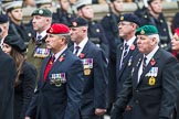 Remembrance Sunday at the Cenotaph 2015: Group B46, Combat Stress.
Cenotaph, Whitehall, London SW1,
London,
Greater London,
United Kingdom,
on 08 November 2015 at 11:46, image #384