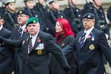 Remembrance Sunday at the Cenotaph 2015: Group B46, Combat Stress.
Cenotaph, Whitehall, London SW1,
London,
Greater London,
United Kingdom,
on 08 November 2015 at 11:46, image #385