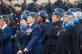 Remembrance Sunday at the Cenotaph 2015: Group C1, Royal Air Forces Association.
Cenotaph, Whitehall, London SW1,
London,
Greater London,
United Kingdom,
on 08 November 2015 at 11:46, image #404