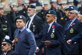 Remembrance Sunday at the Cenotaph 2015: Group C6, RAFLING Association.
Cenotaph, Whitehall, London SW1,
London,
Greater London,
United Kingdom,
on 08 November 2015 at 11:48, image #464