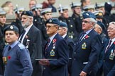 Remembrance Sunday at the Cenotaph 2015: Group C6, RAFLING Association.
Cenotaph, Whitehall, London SW1,
London,
Greater London,
United Kingdom,
on 08 November 2015 at 11:48, image #465