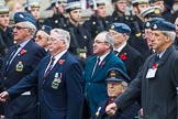 Remembrance Sunday at the Cenotaph 2015: Group C6, RAFLING Association.
Cenotaph, Whitehall, London SW1,
London,
Greater London,
United Kingdom,
on 08 November 2015 at 11:48, image #466