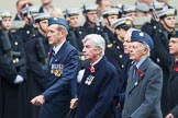Remembrance Sunday at the Cenotaph 2015: Group C9, 8 Squadron Association (New for 2015).
Cenotaph, Whitehall, London SW1,
London,
Greater London,
United Kingdom,
on 08 November 2015 at 11:48, image #478