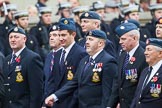 Remembrance Sunday at the Cenotaph 2015: Group C11, Royal Air Force & Defence Fire Services Association.
Cenotaph, Whitehall, London SW1,
London,
Greater London,
United Kingdom,
on 08 November 2015 at 11:48, image #483