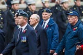 Remembrance Sunday at the Cenotaph 2015: Group C13, Units of the Far East Air Force (New name for 2015, contingents combined).
Cenotaph, Whitehall, London SW1,
London,
Greater London,
United Kingdom,
on 08 November 2015 at 11:49, image #496